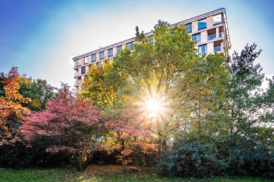 Fotku se nepodařilo načíst.