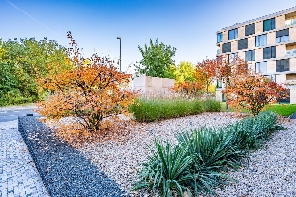 Fotku se nepodařilo načíst.