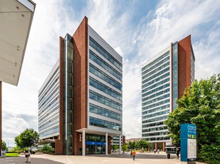 Pronájem kanceláře, 173 m²