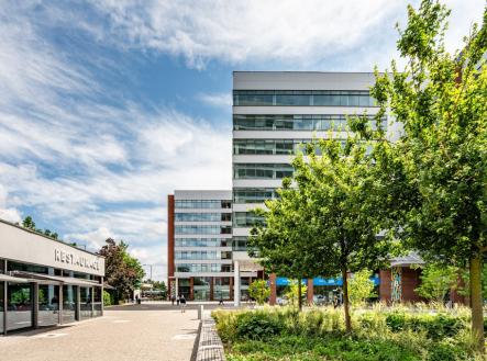 Pronájem kanceláře, 173 m²