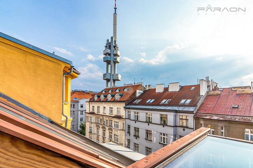 Fotku se nepodařilo načíst.