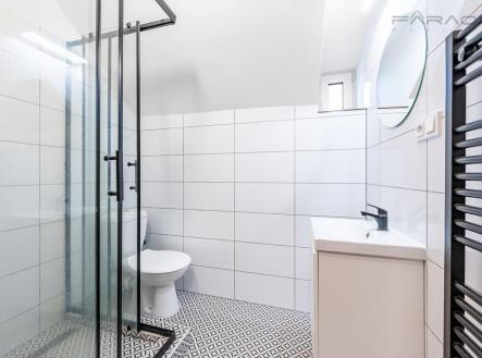 Prodej domu/vily, 550 m²