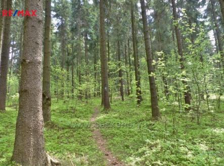 Prodej pozemku, les, 2 762 m²