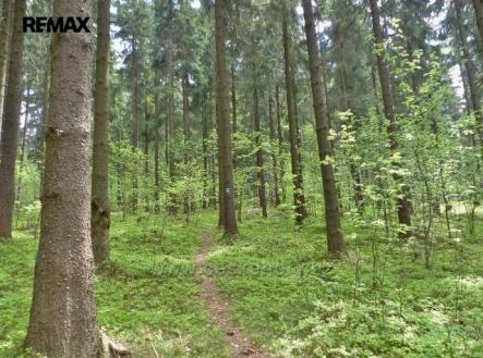 Prodej pozemku, les, 2 762 m²