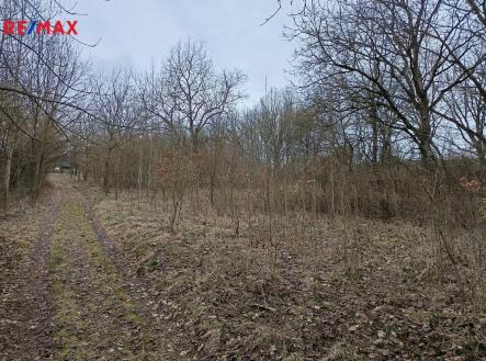 Prodej pozemku, ostatní, 3 482 m²