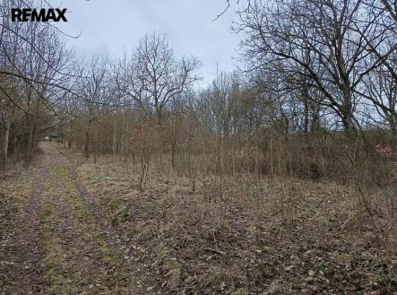 Prodej pozemku, ostatní, 3 482 m²