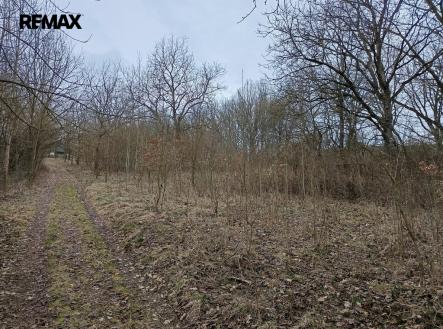 Prodej pozemku, ostatní, 3 482 m²