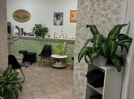 Pronájem obchodní prostor, 41 m²