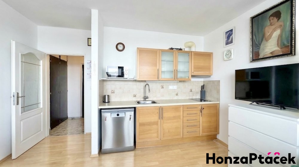 Prodej bytu 1+k s lodžií, Otradovická, Kamýk, Honza Ptáček realitní makléř v Praze plány d