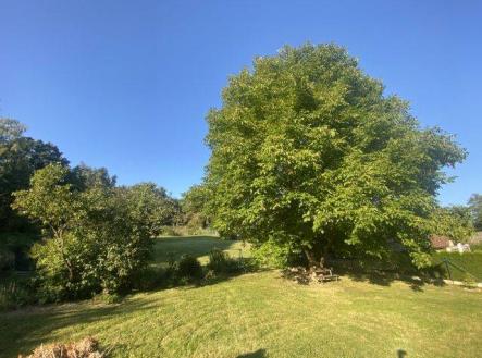 Prodej - pozemek, zahrada, 1 505 m²
