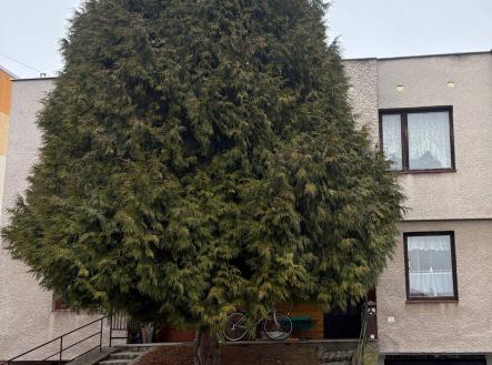 Prodej domu/vily, 180 m²