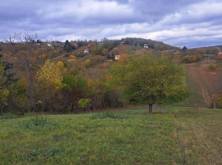 Prodej - pozemek, zahrada, 1 458 m²