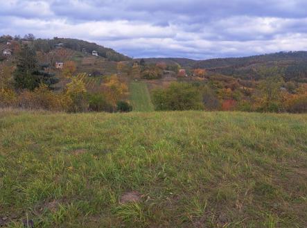 Prodej pozemku, zahrada, 1 458 m²