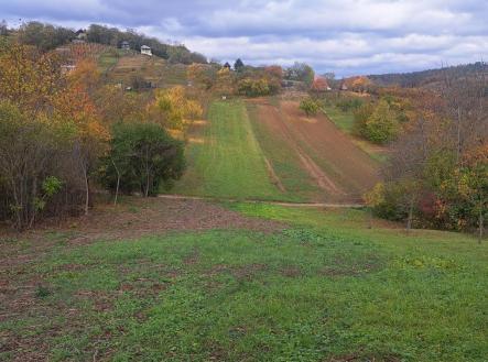 Prodej pozemku, zahrada, 1 458 m²