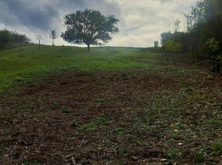 Prodej pozemku, zahrada, 1 458 m²