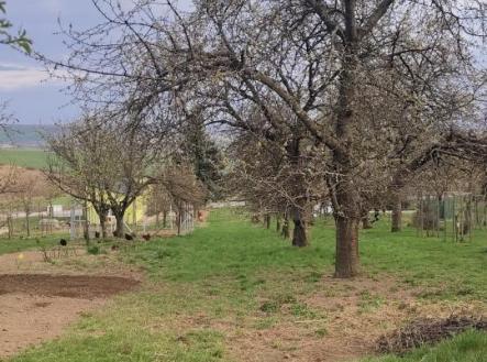 Prodej pozemku pro bydlení, 2 431 m²