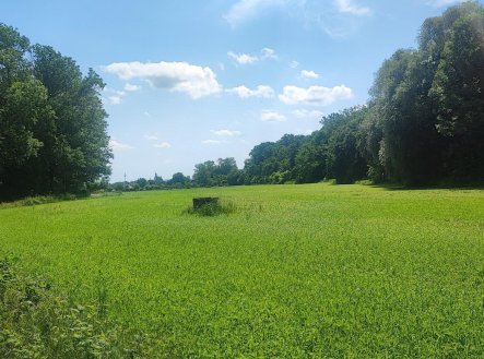 Prodej pozemků-zahrad, ve Vyškově