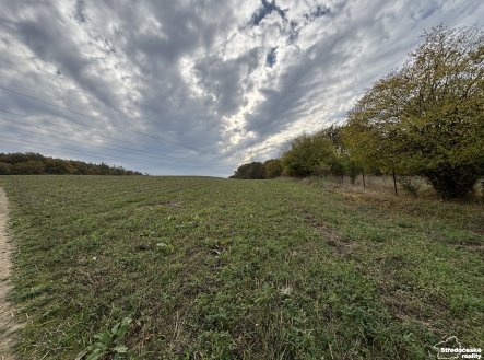 Prodej pozemku, zemědělská půda, 11 541 m²