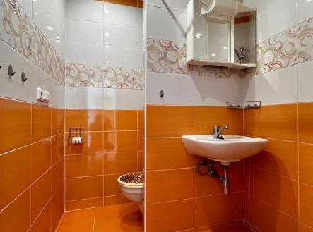 Pronájem bytu, 1+kk, 25 m²