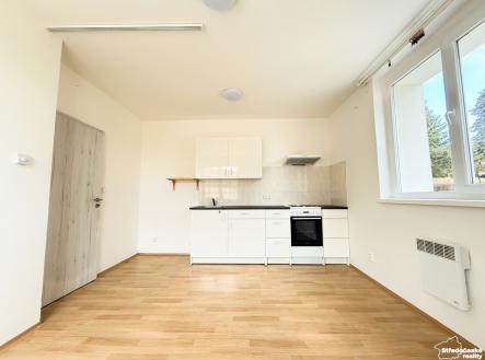 Prodej bytu, 1+kk, 29 m²