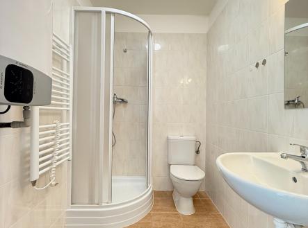 Prodej bytu, 1+kk, 29 m²