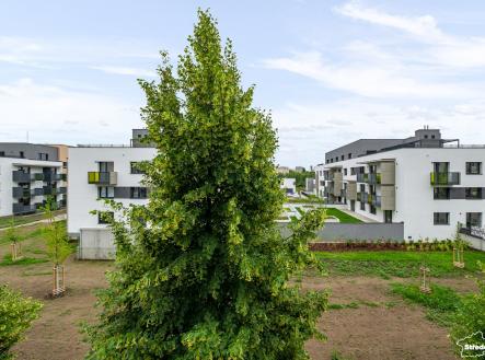 hotovo-5