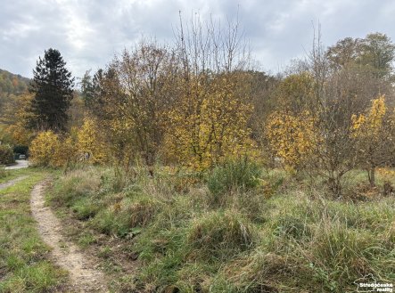 Prodej pozemku, trvalý travní porost, 4 119 m²