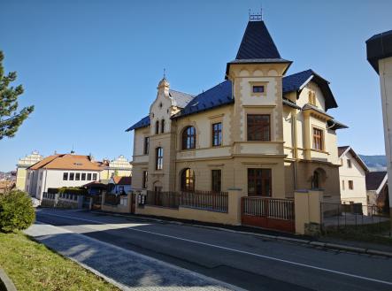 Prodej - nájemní dům, 542 m²