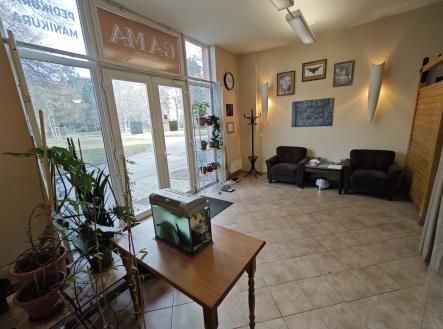 Prodej obchodní prostor, 59 m²