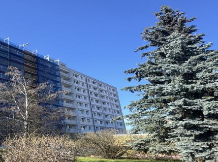 Prodej bytu, 1+kk, 29 m²