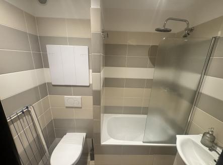 Pronájem bytu, 1+kk, 28 m²