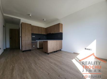 Pronájem bytu, 2+kk, 47 m²