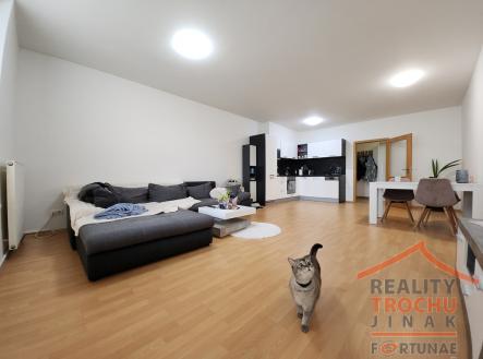 Prodej bytu, 3+kk, 105 m²