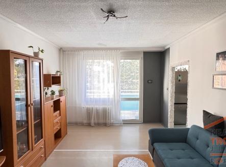 Prodej bytu, 1+1, 41 m²