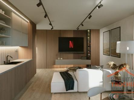 Pronájem bytu, 1+kk, 49 m²