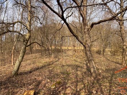 Prodej pozemku pro bydlení, 12 282 m²