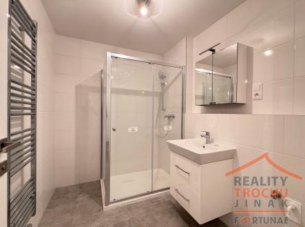Pronájem bytu, 3+kk, 71 m²