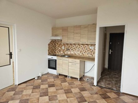 Pronájem bytu, 1+1, 37 m², Ústí nad Labem – náhled fotky 2