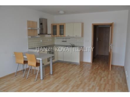 Pronájem bytu, 1+kk, 36 m² obrázek