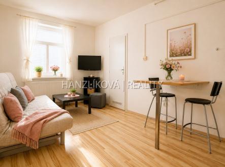 Pronájem bytu, 1+kk, 21 m²
