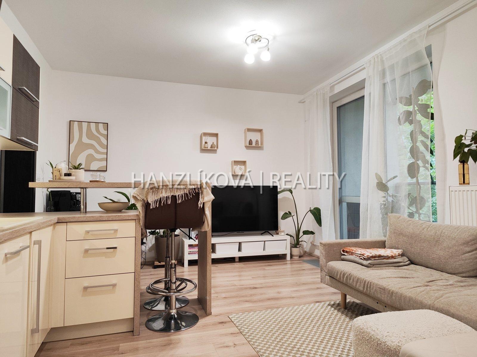 Obývací pokoj s kuchyní, pronájem bytu 2+kk, Dlouhá Louka, České Budějovice