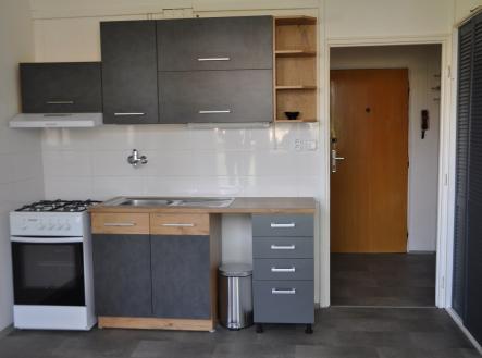 Pronájem bytu, 1+1, 42 m²