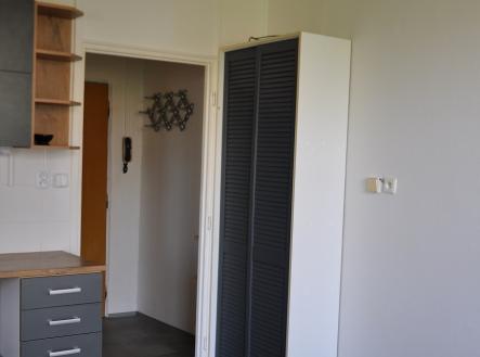 Pronájem bytu, 1+1, 42 m²