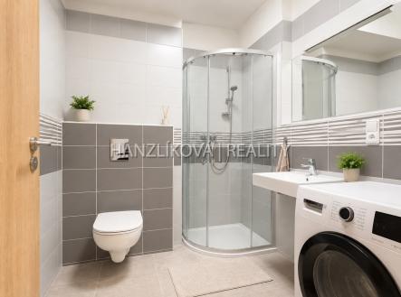 Pronájem bytu, 1+kk, 33 m²