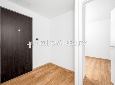 Pronájem bytu, 3+kk, 52 m²