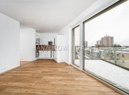 Pronájem bytu, 3+kk, 66 m²