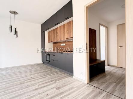 Pronájem bytu, 2+kk, 49 m²
