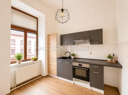 Pronájem bytu, 1+1, 47 m²