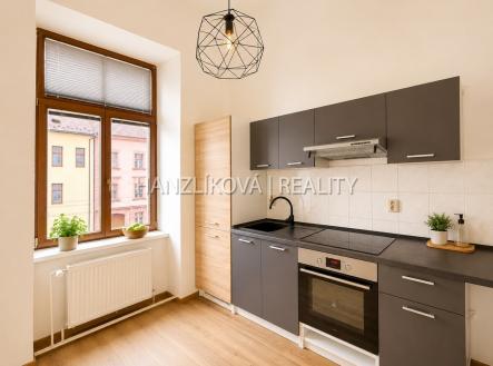 Pronájem bytu, 1+1, 47 m²