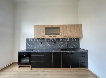 Pronájem bytu, 1+1, 49 m²